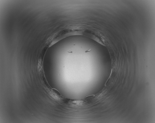 X0000067500478200604211730