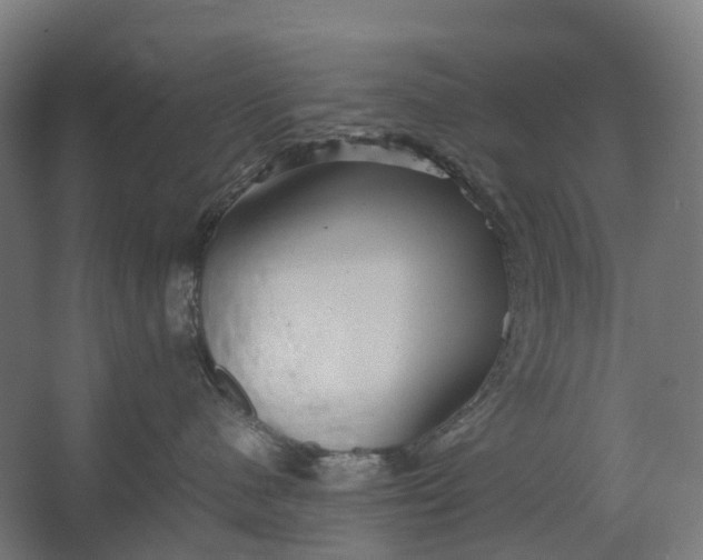 X0000067500480200604211730