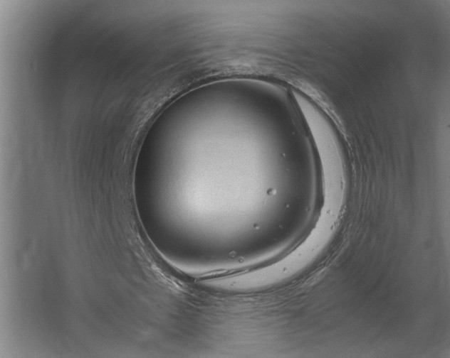 X0000067500481200604211729