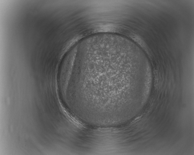 X0000067500482200604211729