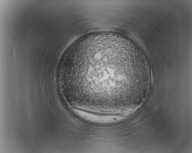 X0000067500483200604211729