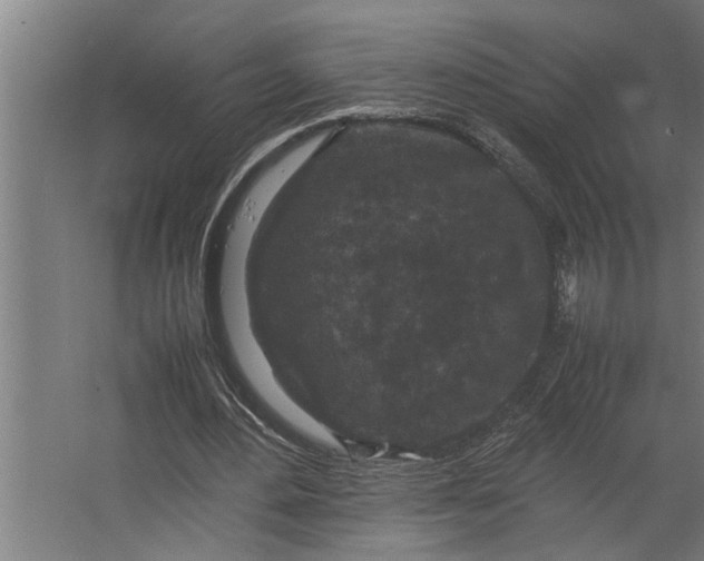 X0000067500484200604211729