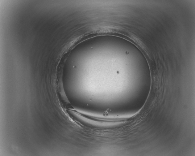 X0000067500485200604211729