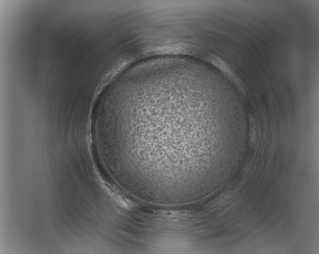 X0000067500486200604211729