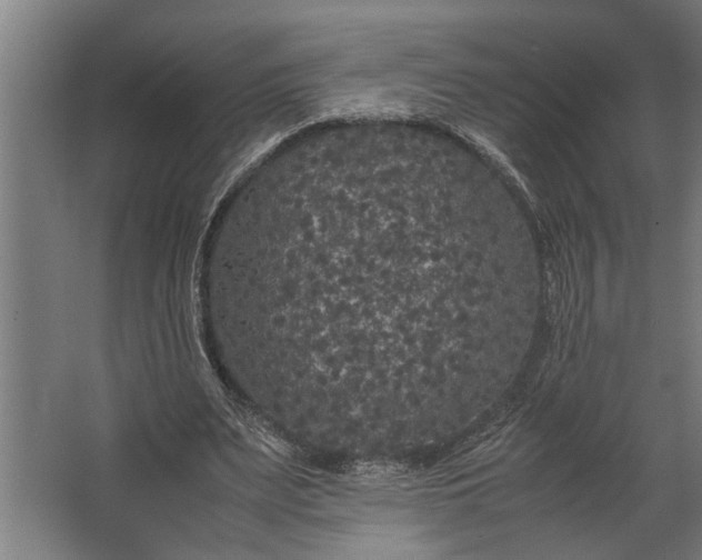 X0000067500487200604211729