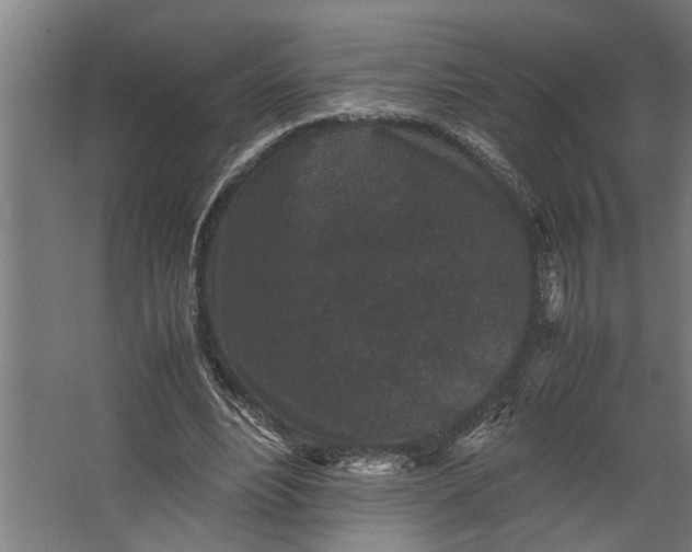 X0000067500488200604211729