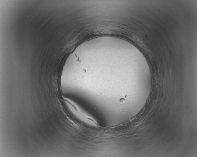 X0000067500489200604211729