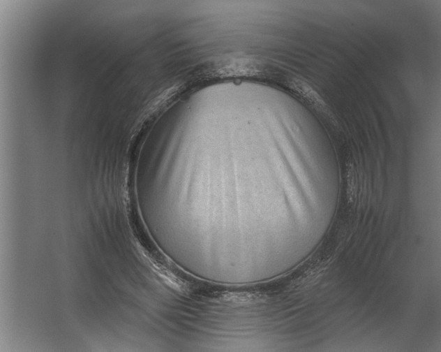 X0000067500490200604211729