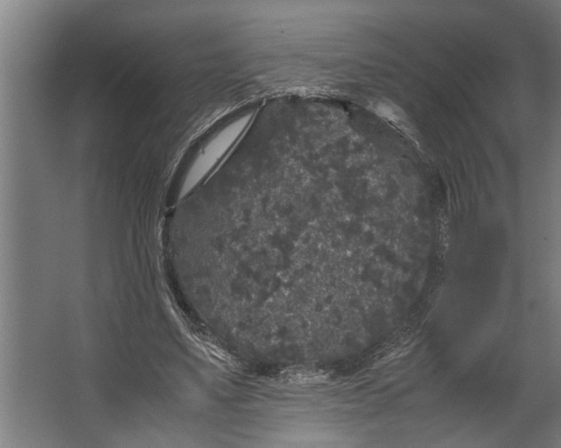 X0000067500491200604211729