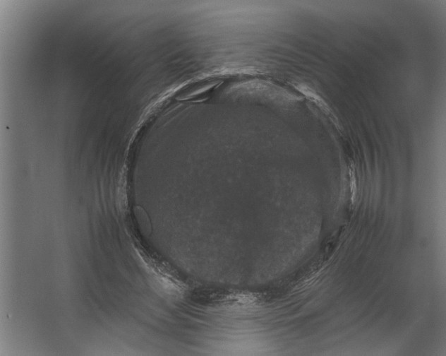 X0000067500492200604211729