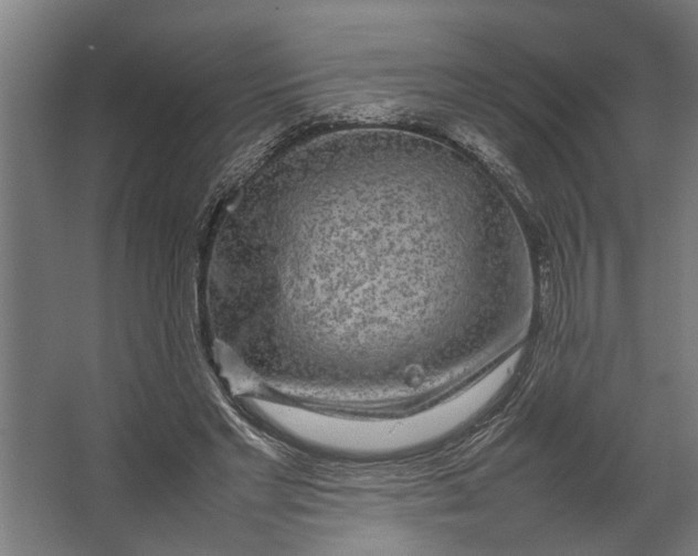 X0000067500493200604211729