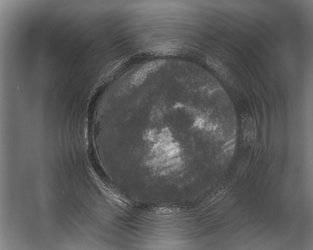 X0000067500494200604211729