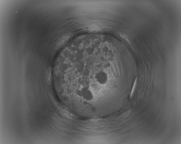 X0000067500495200604211729