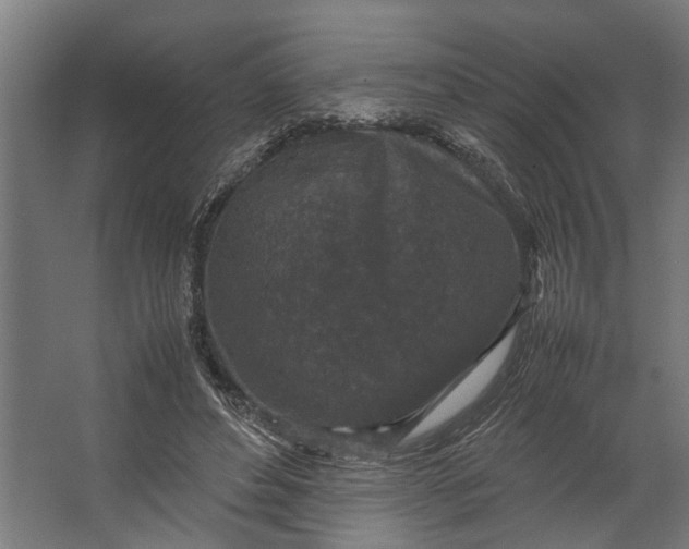 X0000067500496200604211729