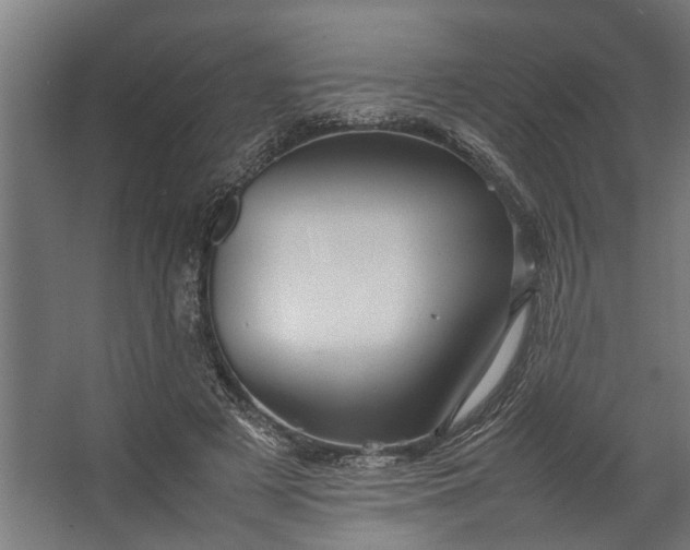 X0000067500497200604211729