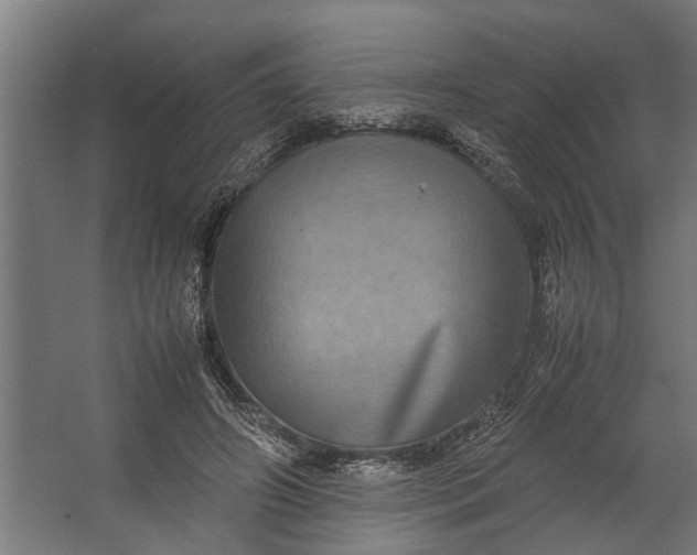 X0000067500498200604211729