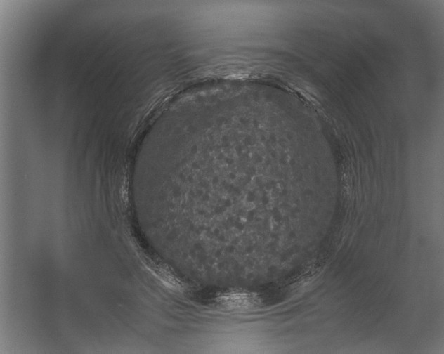 X0000067500499200604211728