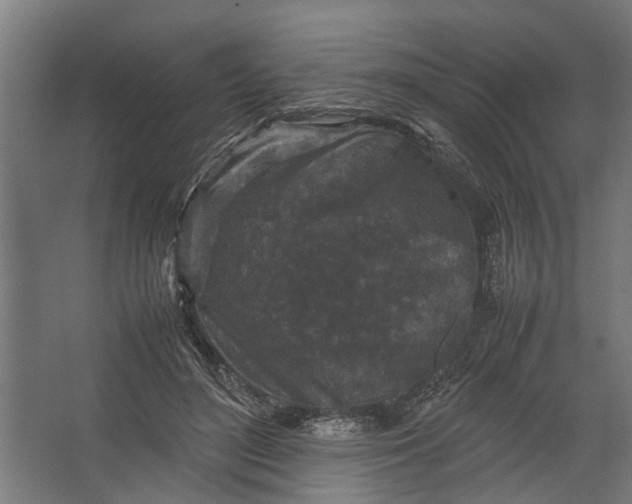 X0000067500500200604211728