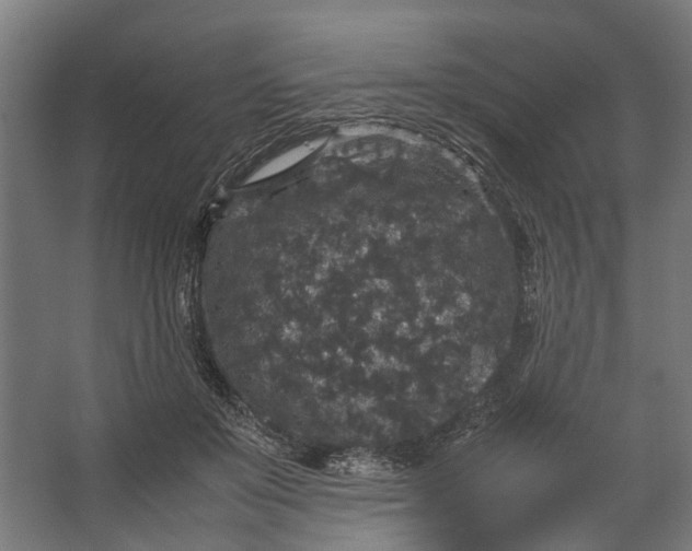 X0000067500503200604211728