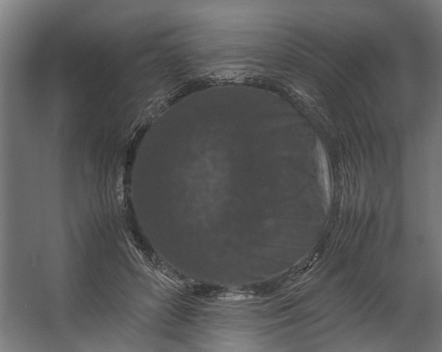 X0000067500504200604211728