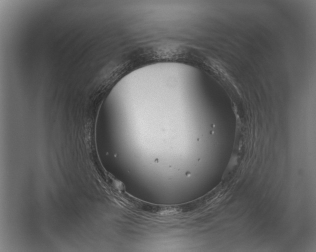 X0000067500505200604211728