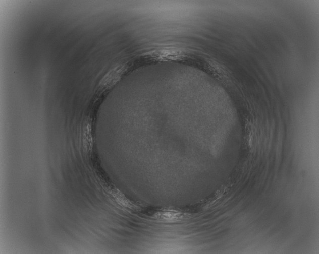 X0000067500506200604211728