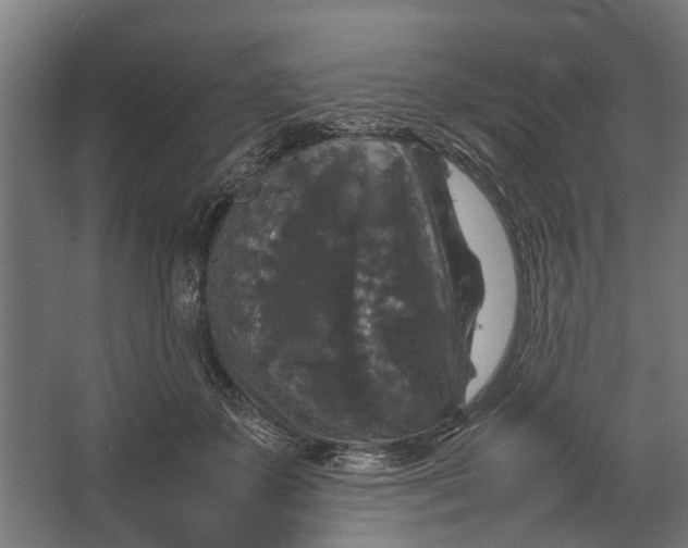 X0000067500507200604211728