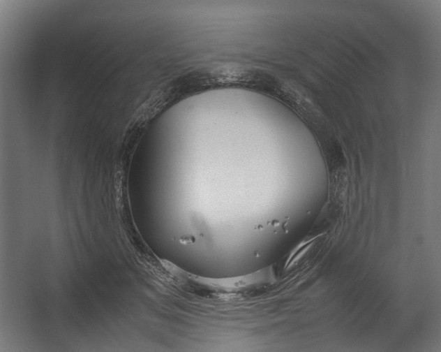 X0000067500509200604211728