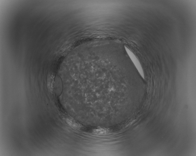 X0000067500511200604211728