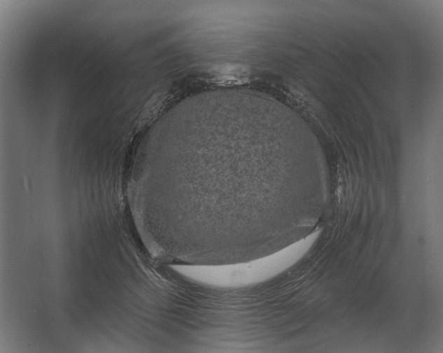 X0000067500512200604211728