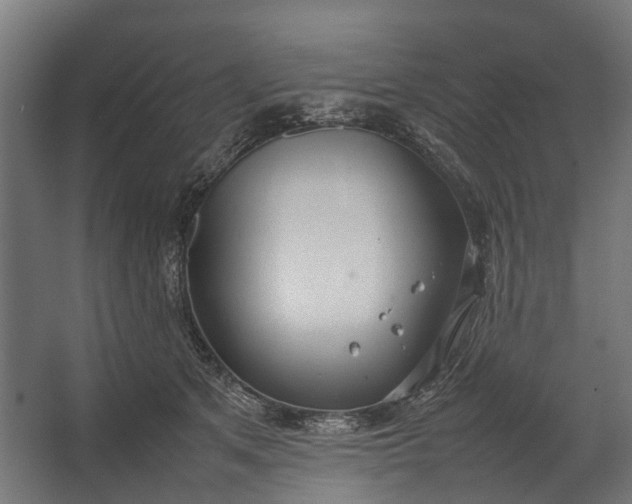 X0000067500513200604211728