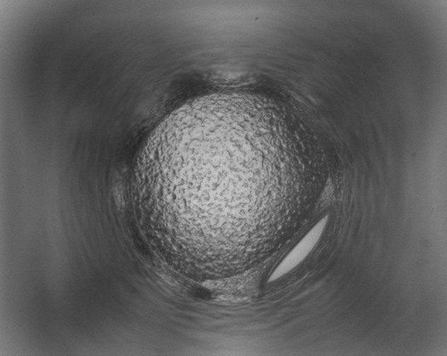 X0000067500515200604211728