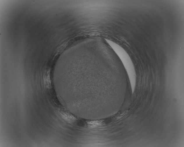 X0000067500516200604211728