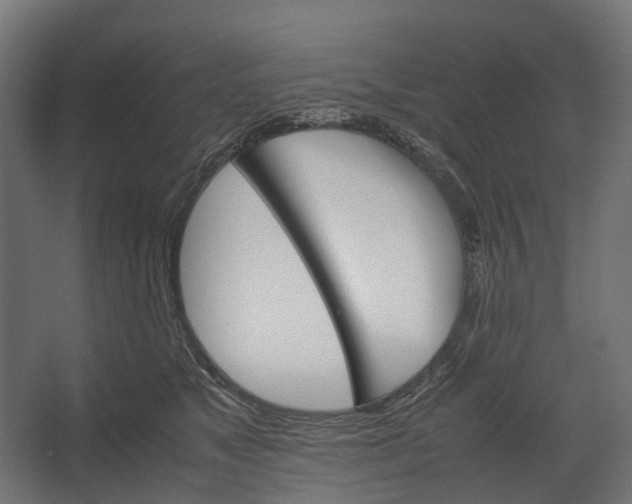 X0000067500517200604211728