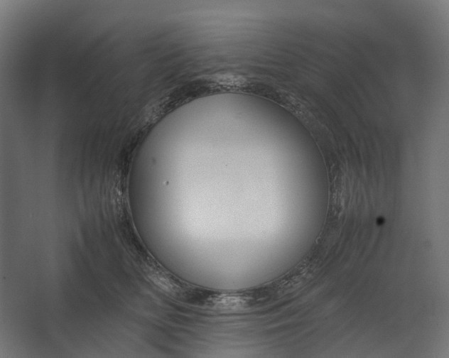 X0000067500518200604211728