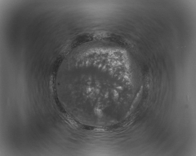 X0000067500519200604211728