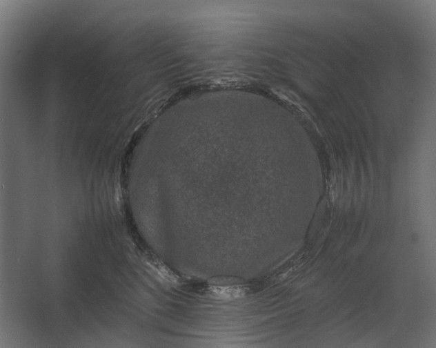 X0000067500520200604211728