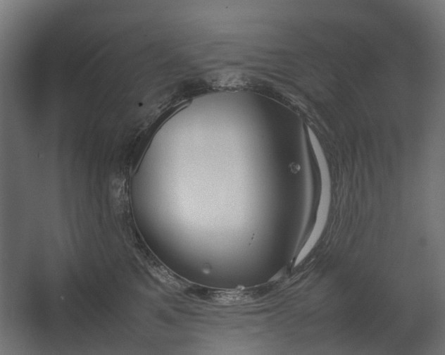 X0000067500521200604211728