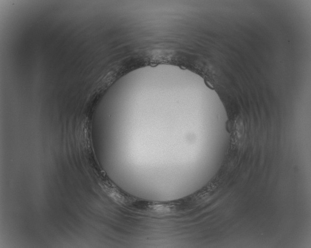 X0000067500522200604211728