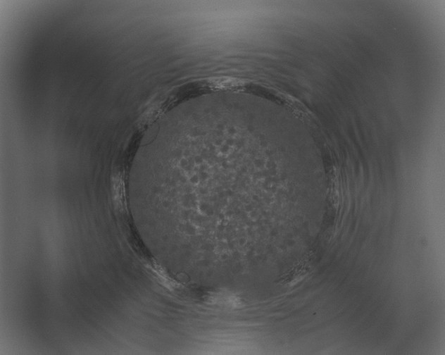 X0000067500523200604211728