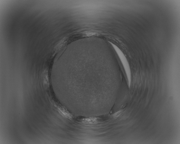 X0000067500524200604211728