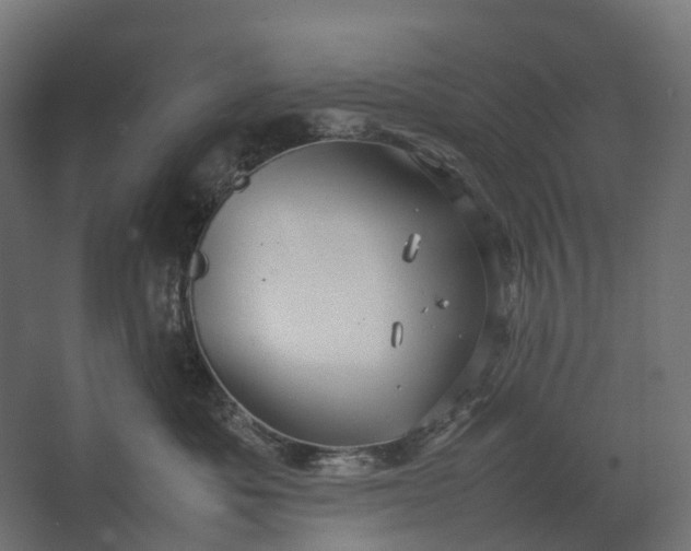 X0000067500525200604211728