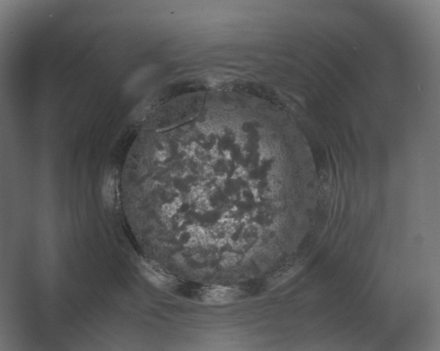 X0000067500527200604211728