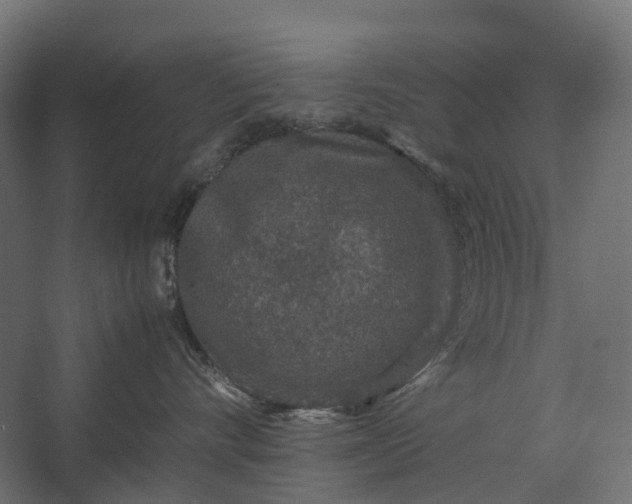 X0000067500528200604211728