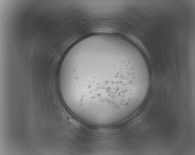 X0000067500529200604211727