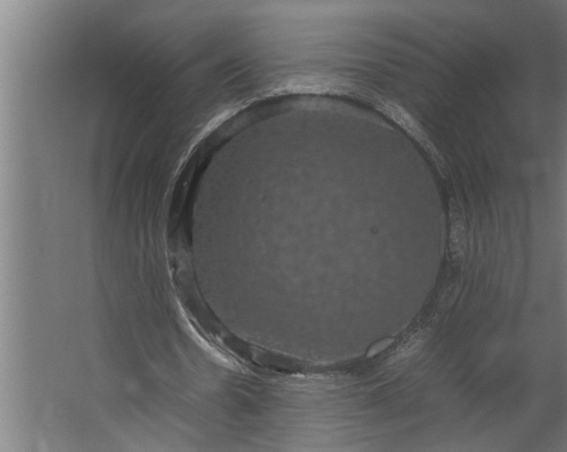 X0000067500530200604211727