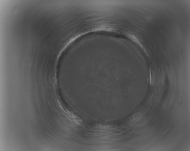 X0000067500531200604211727