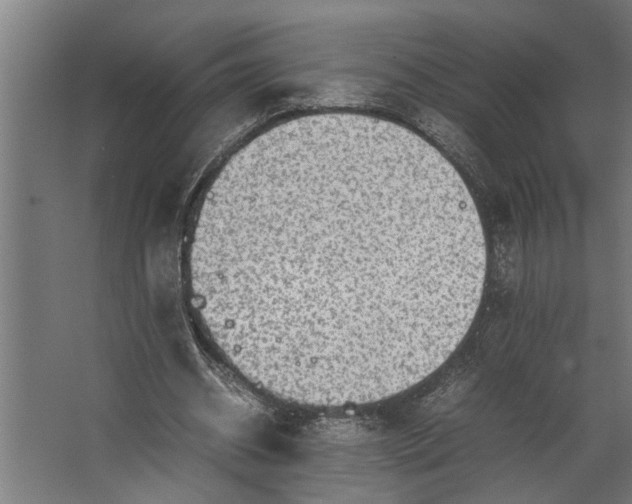 X0000067500534200604211727