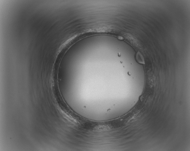 X0000067500536200604211727