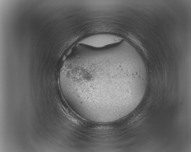 X0000067500537200604211727